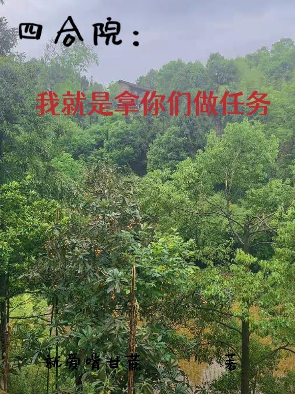 四合院:我就是拿你们做任务
