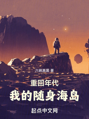 重回年代:我的随身海岛