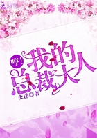 哼!我的总裁大人