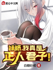 妹纸,我真是正人君子!