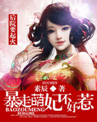 后院要起火:暴走萌妃不好惹