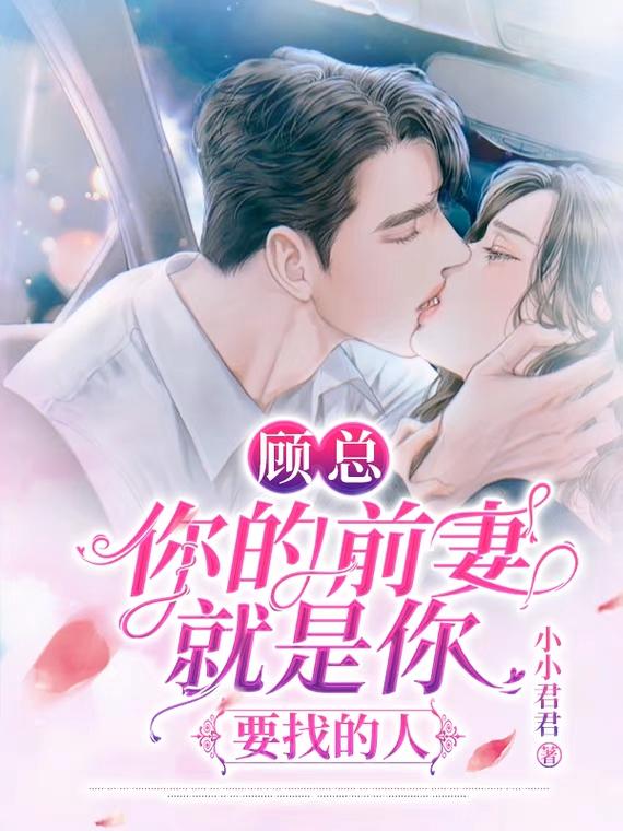 顾总,你的前妻就是你要找的人