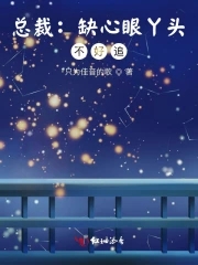 总裁:缺心眼丫头,不好追