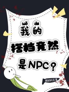 我的搭档竟然是NPC？