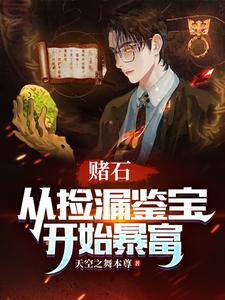 赌石:从捡漏鉴宝开始暴富