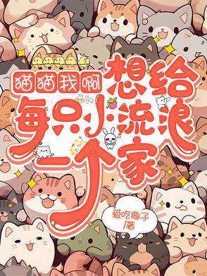 猫猫我啊,想给每只小流浪一个家